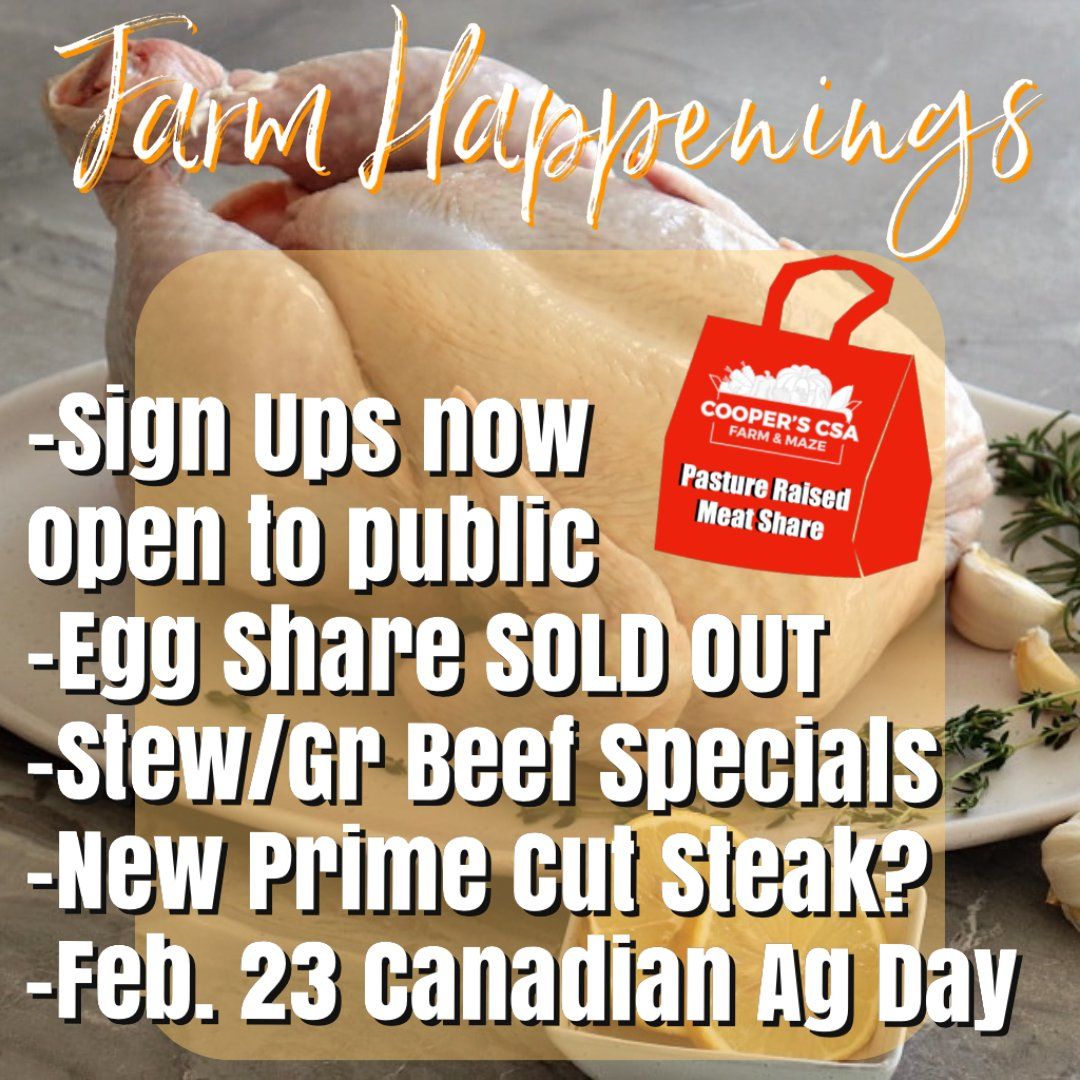 Next Happening: Winter/Spring Meat Share Feb 23rd-27th-Coopers CSA Farm Happenings