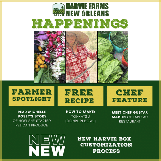 Harvie Farms New Orleans Happenings for the Week of March 1, 2021
