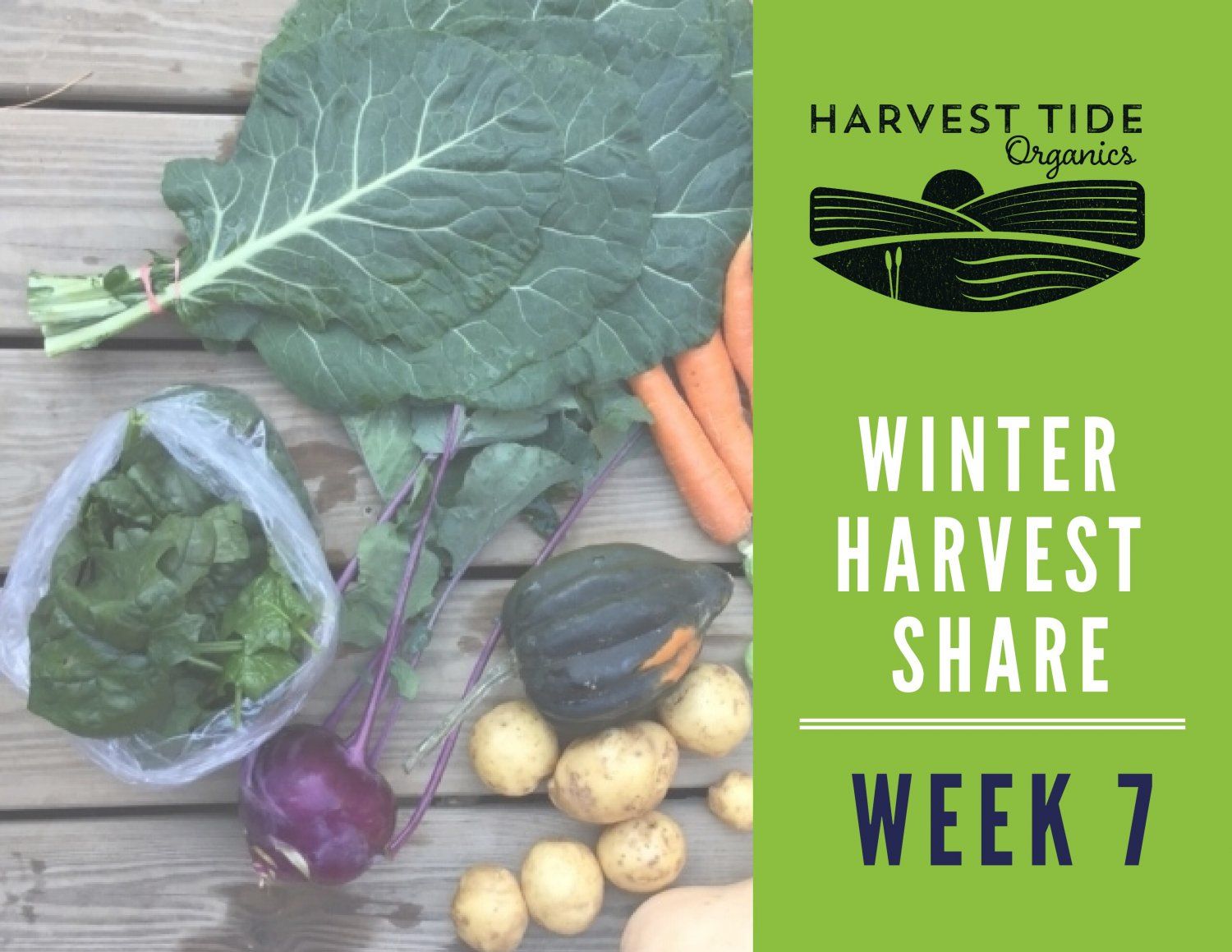 Next Happening: Winter Harvest Share - Week 7