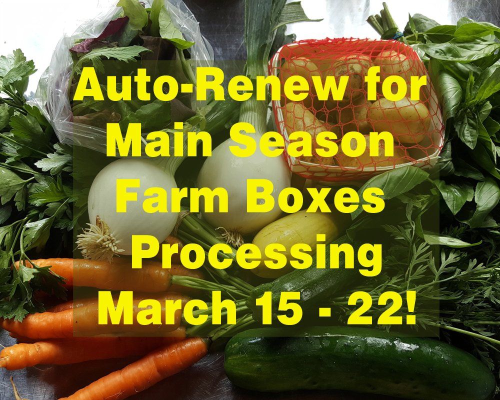 Farm Happenings 3/15/21: Auto-renew for the Main Season starts March 15! / Update from New Beat Farm