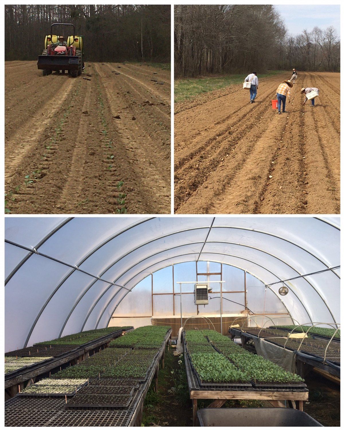Farm Happenings for March 23rd, 2021