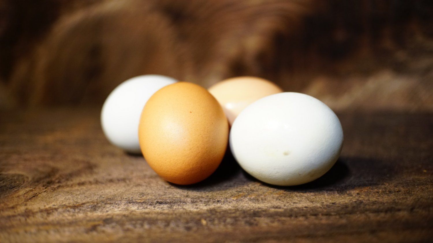 CSA Week 6: Save your egg cartons!