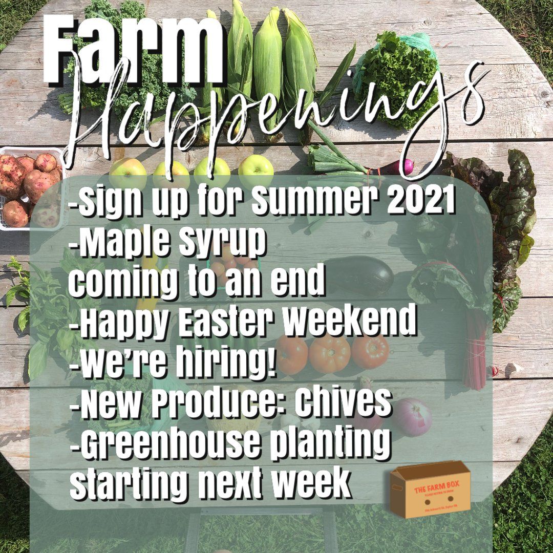 Previous Happening: Winter/Spring Veggie Share April 6th-10th 2021-Coopers CSA Farm Happenings