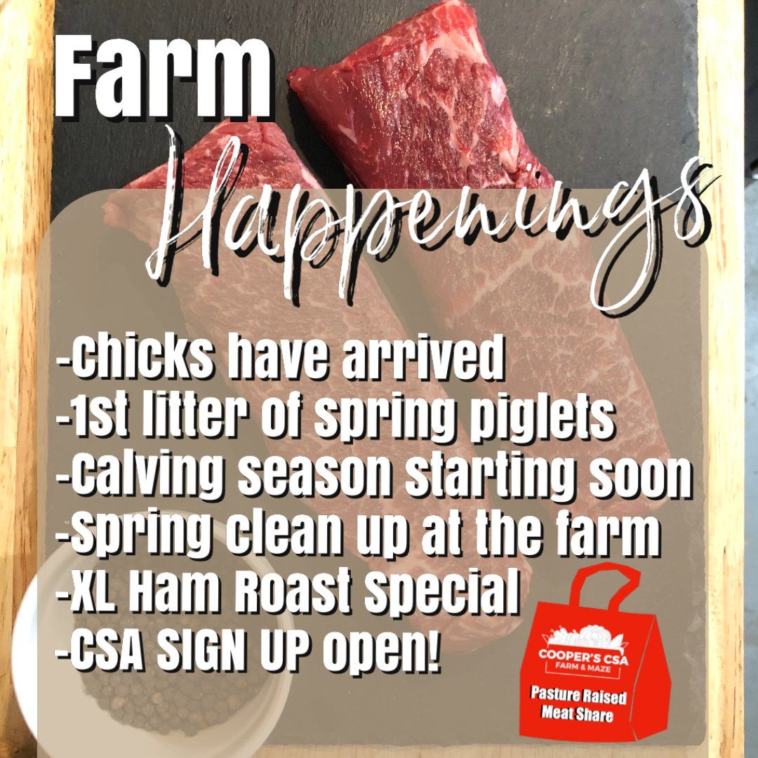 Previous Happening: Winter/Spring Meat Share 2020-2021: April 20th-24th-Coopers CSA Farm Happenings
