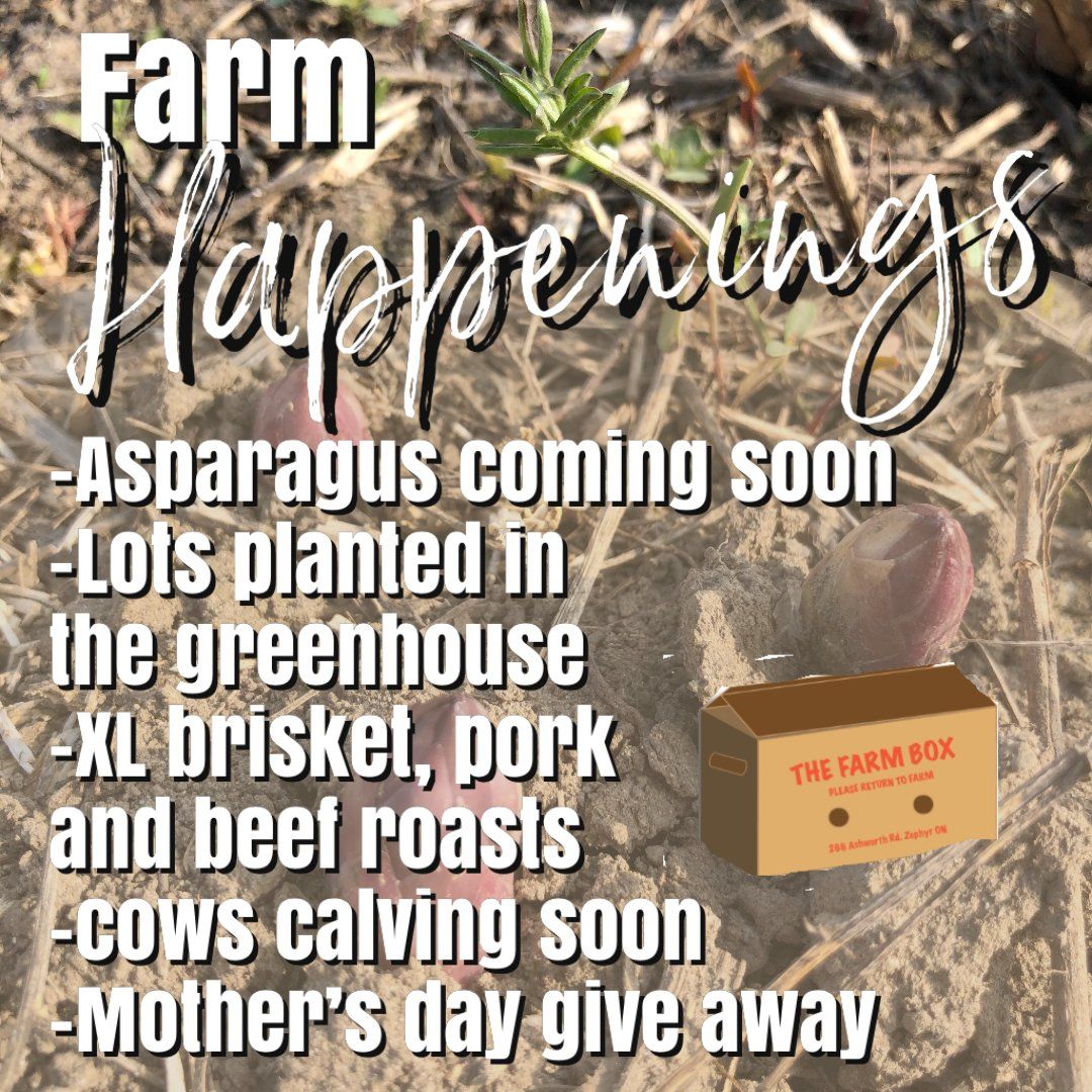 Winter/Spring Veggie Share 2021, May4th-8th: Coopers CSA Farm Happenings