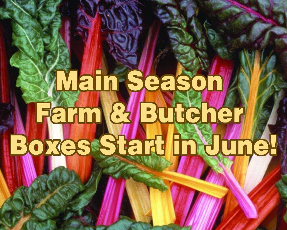 Next Happening: Farm Happenings 5/10/2021: Main Season is right around the corner! / Update from Dig Deep Farm