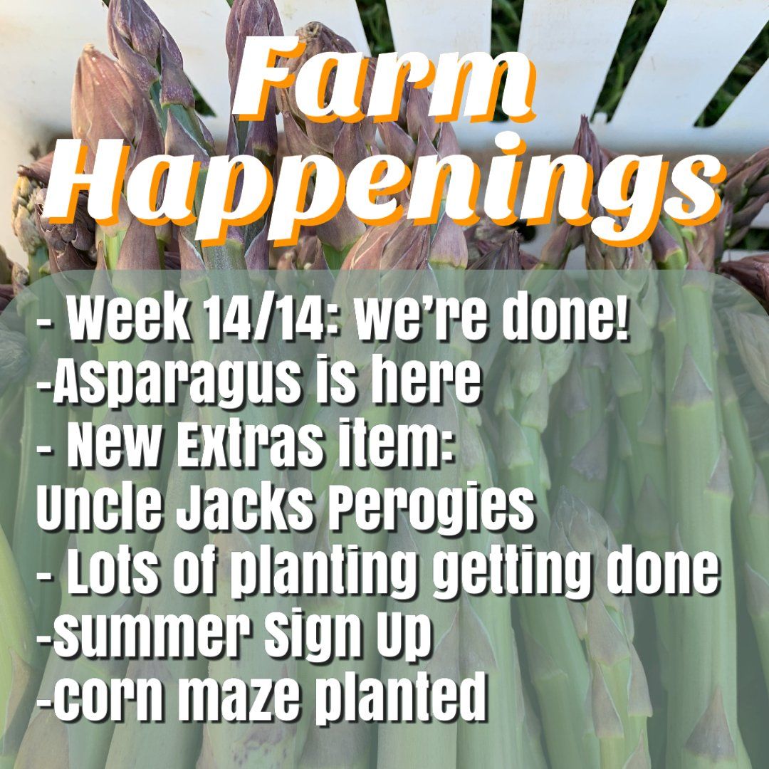 Next Happening: Winter/Spring Veggie Share May18th-22nd -Coopers CSA Farm Happenings