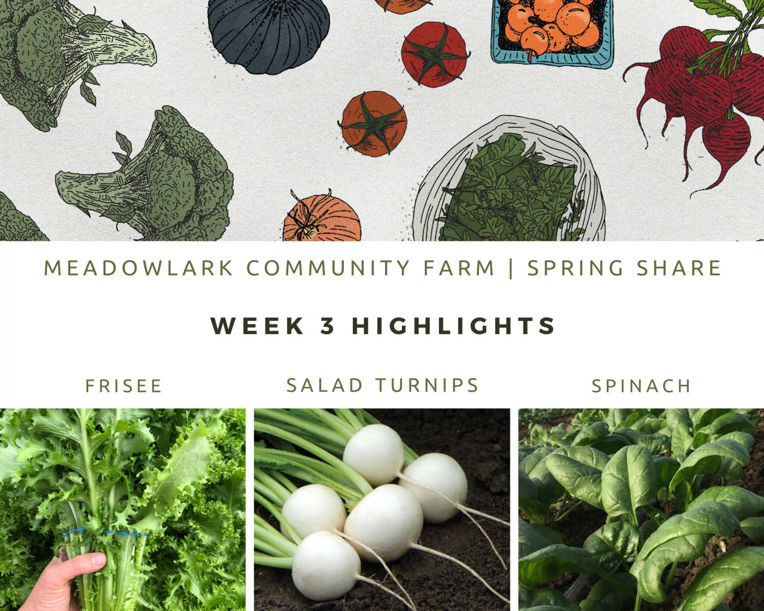 Previous Happening: Spring Share: Week 3