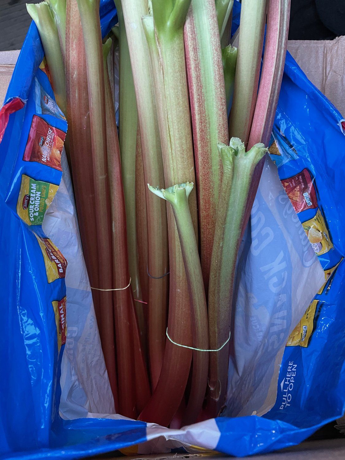 Previous Happening: Rhubarb and Beet Greens Arrive!
