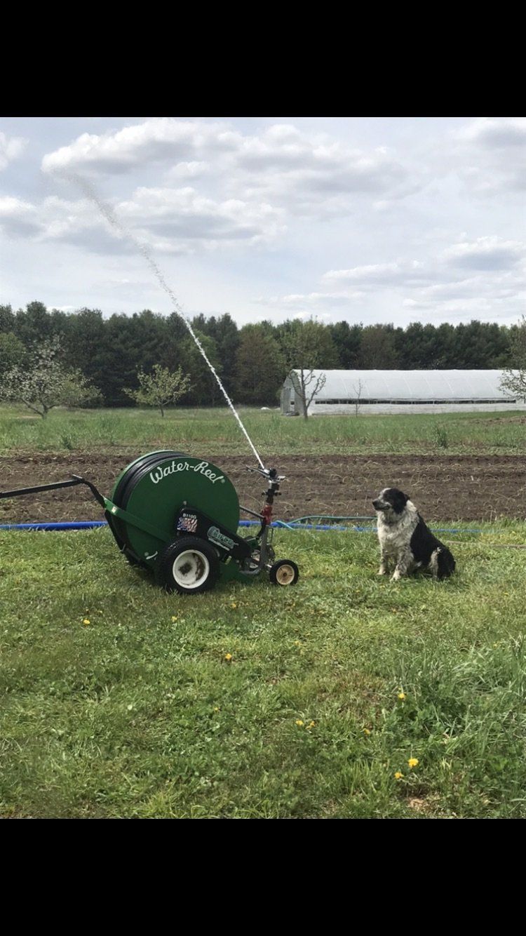 Next Happening: Farm Happenings for May 20, 2021