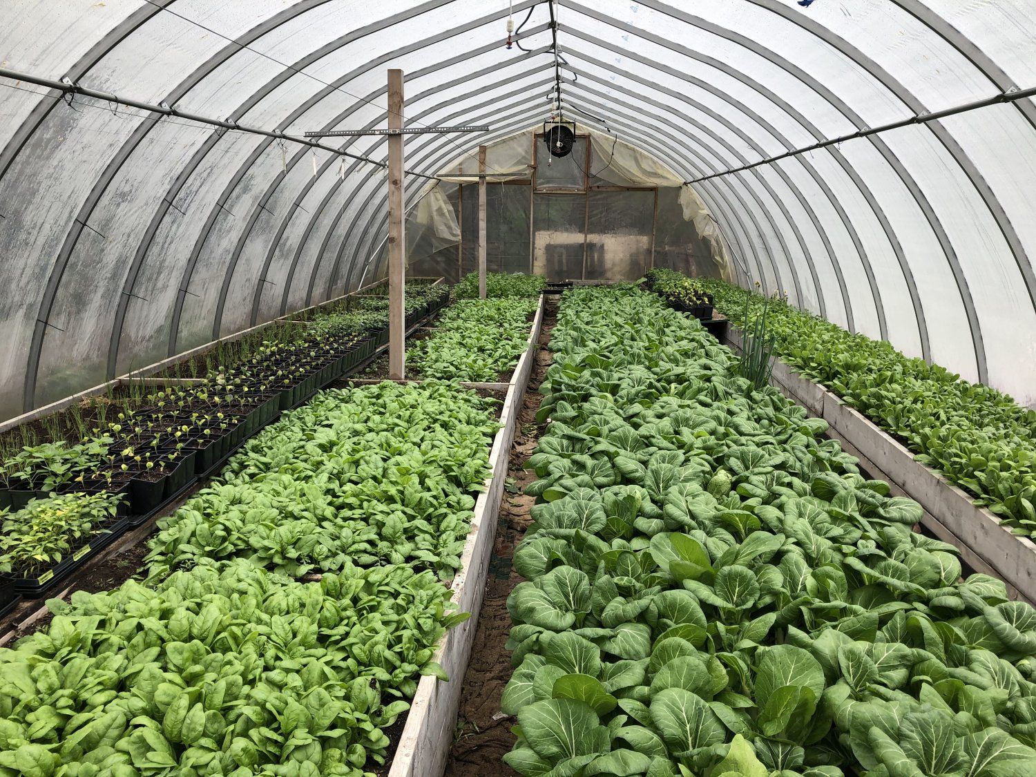 Farm Happenings for May 19, 2021