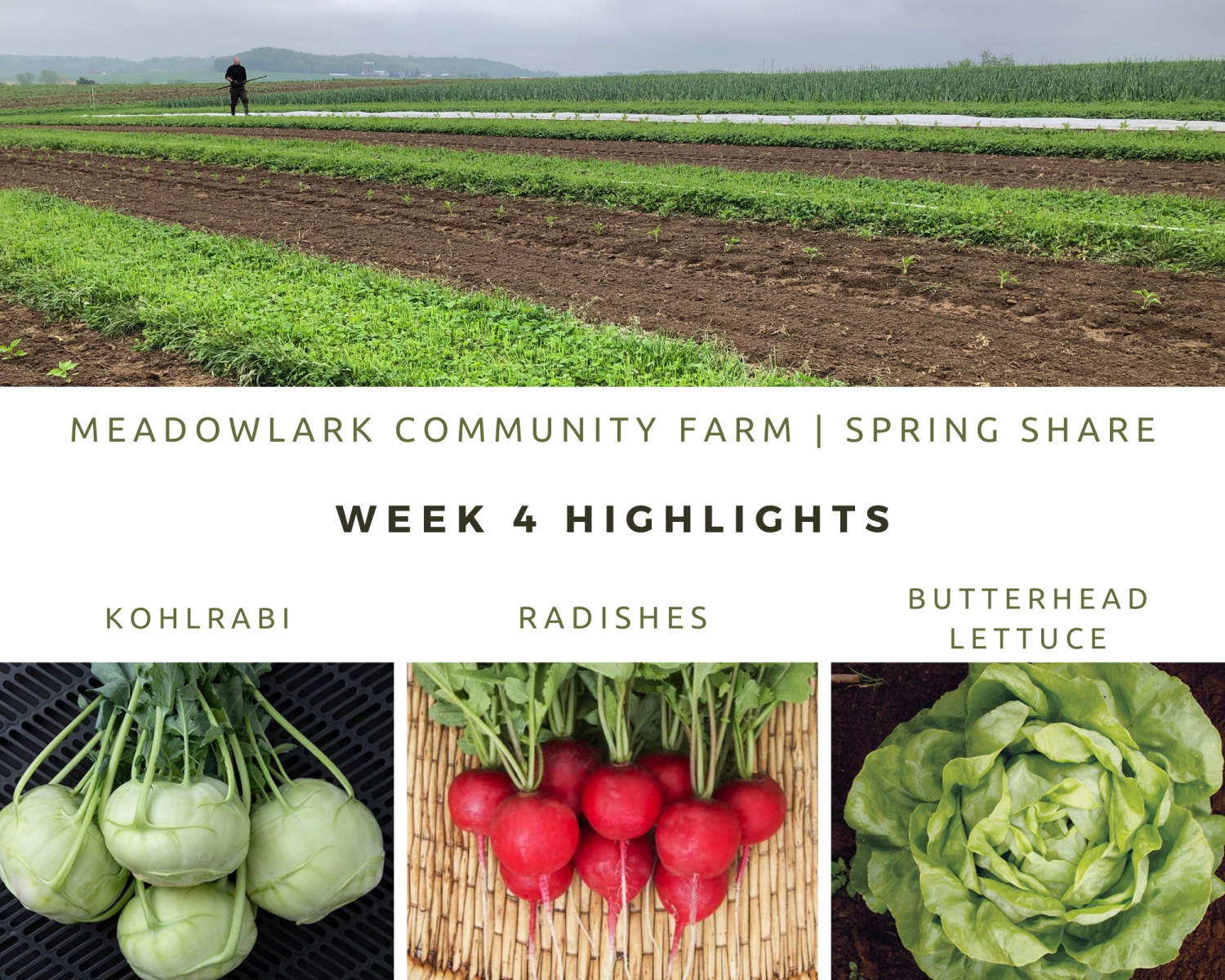 Previous Happening: Spring Share: Week 4