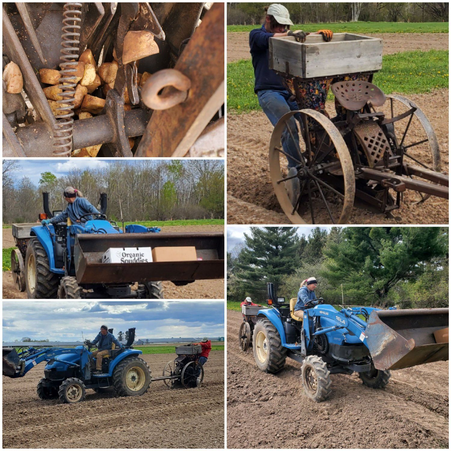 Previous Happening: DragSmith Farms Planting Potatoes