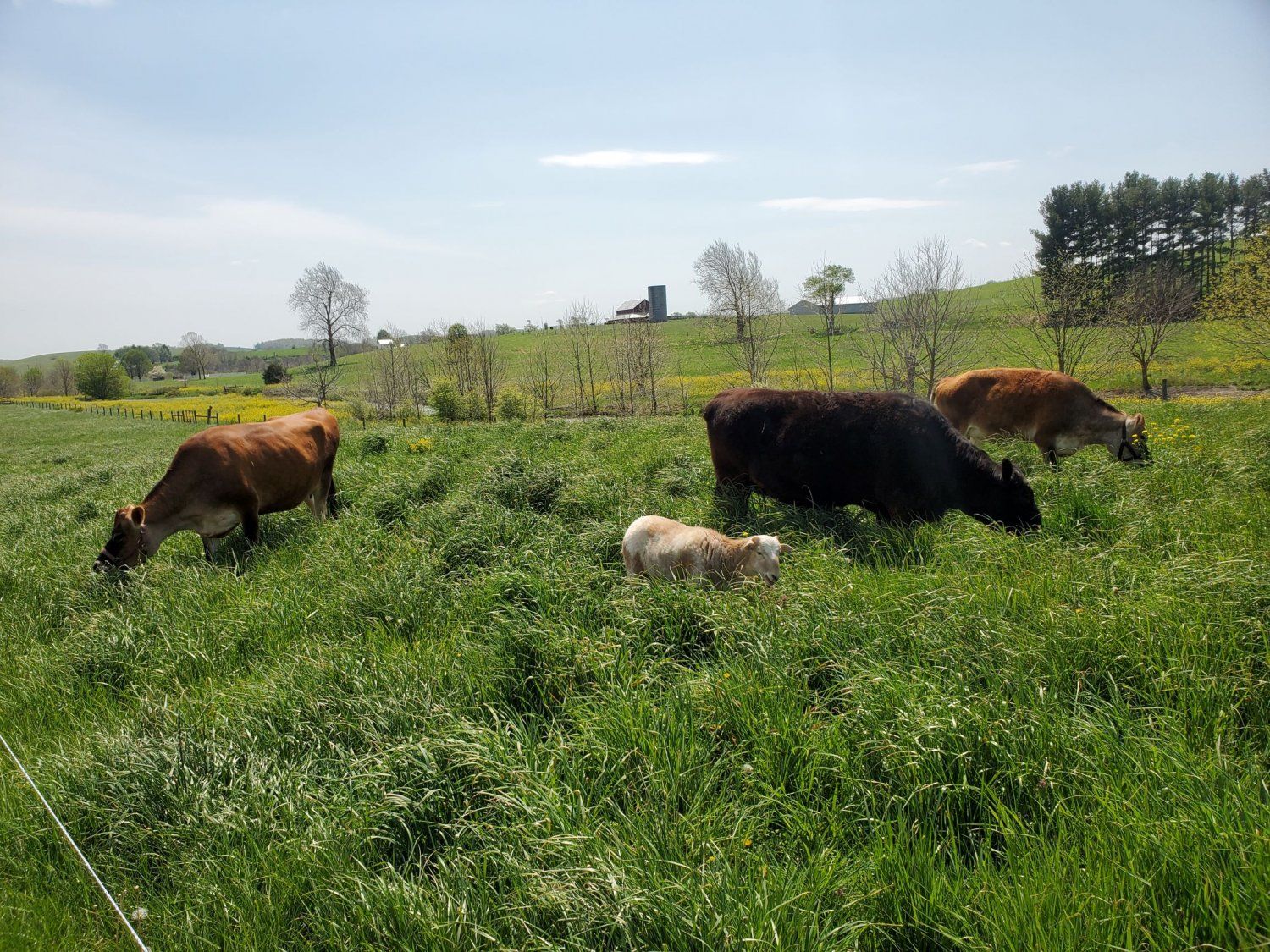 Farm Happenings for May 28, 2021