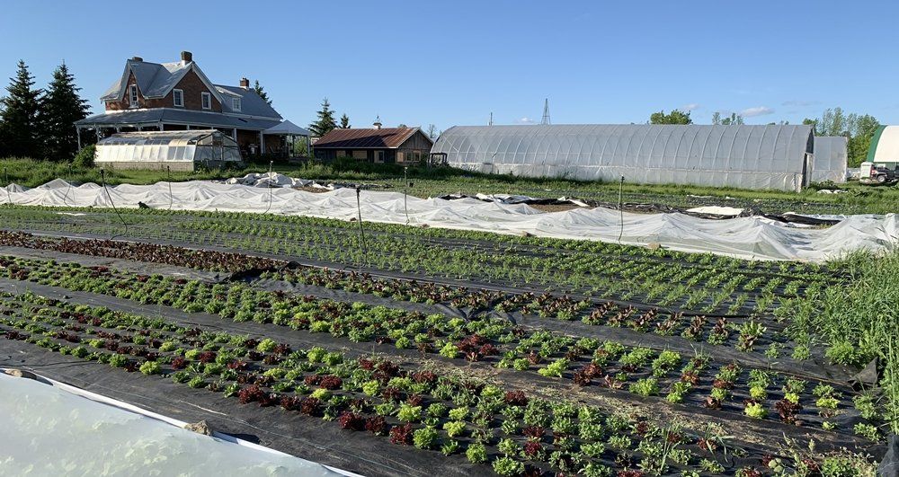 Farm Happenings for May 30, 2020