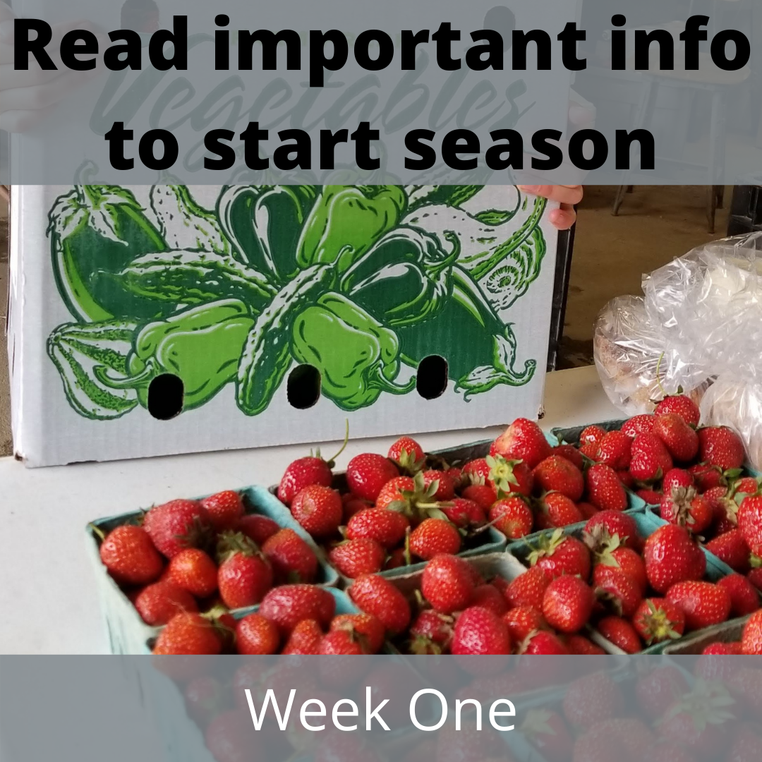 BIG DEAL: Organic strawberries for first week fruit shares