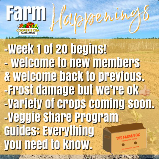 Cooper's CSA Farm Summer 2021 Week 1 "The Farm Box" June 8-13th, 2021