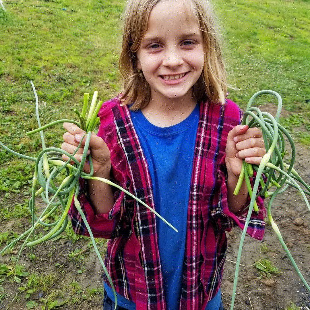 Grab garlic scapes - only available in June!