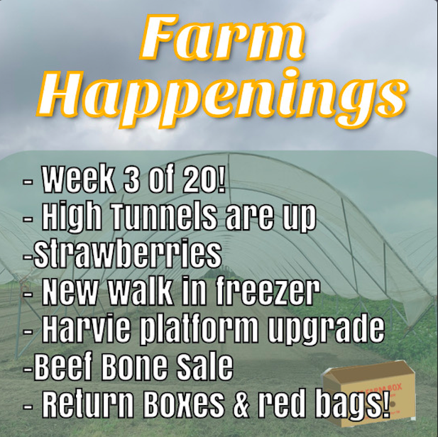 Next Happening: Cooper's CSA Farm Summer 2021 Week 1 "The Farm Box" June 22nd-27th, 2021