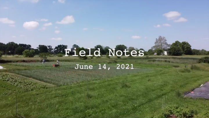 Previous Happening: Field Notes: Cover Crops