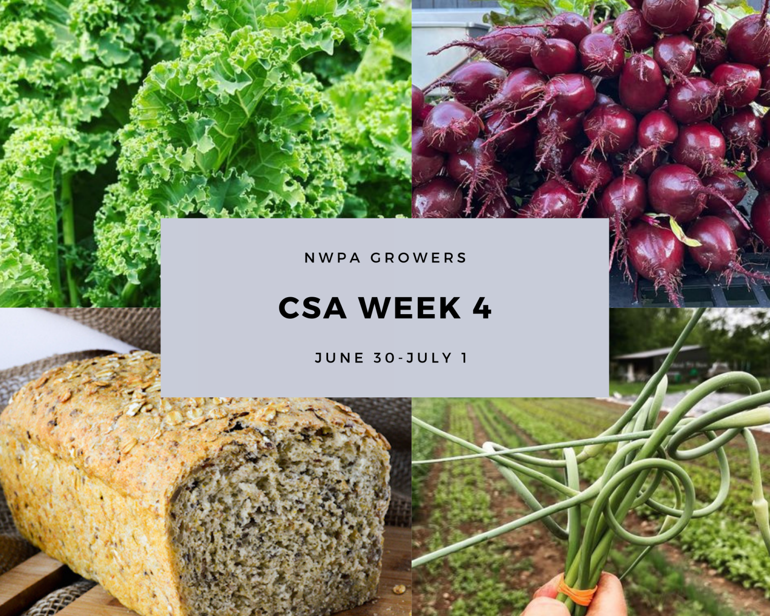 CSA Week 4 June 30-July 1