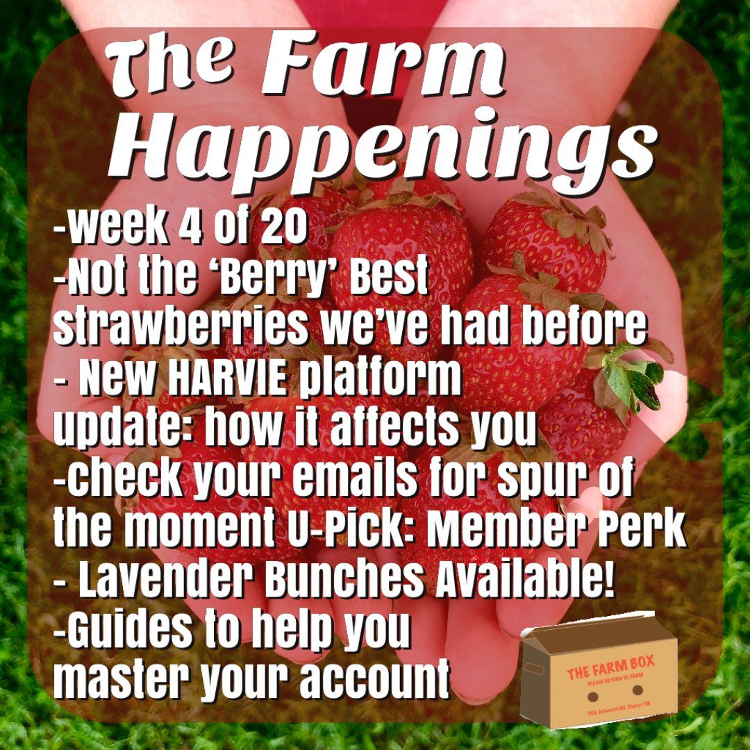 Next Happening: Cooper's CSA Farm Summer 2021 Week 4 "The Farm Box" June 29th-July 3rd, 2021
