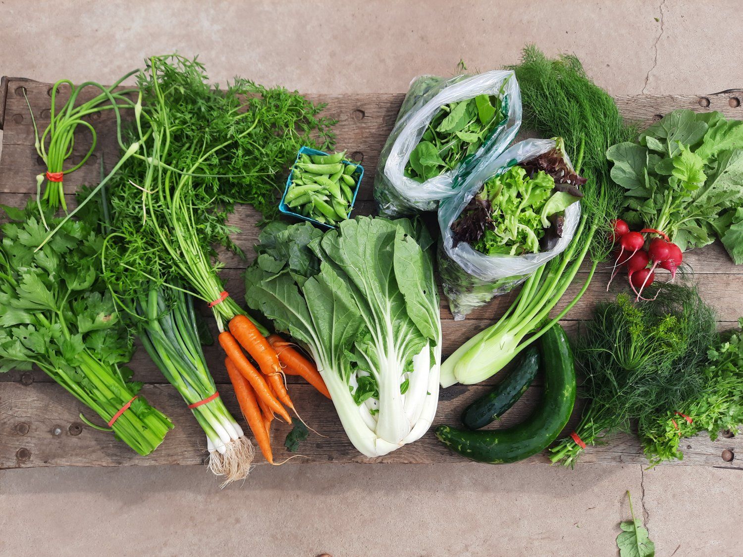 Previous Happening: CSA Box #3 (Please click on Continue Reading to see newsletter)
