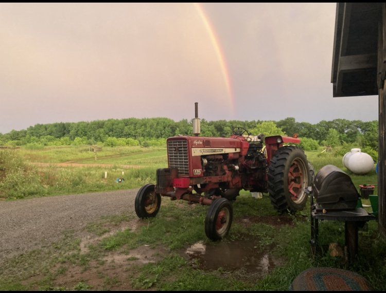 Previous Happening: Farm Happenings for July 1, 2021