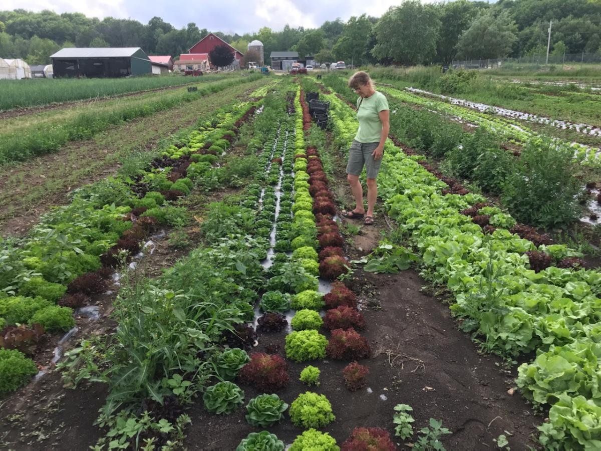 Next Happening: Farm Happenings for July 2, 2021