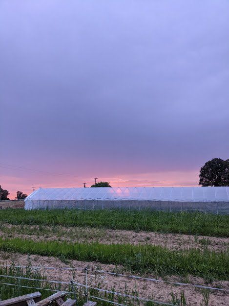 Previous Happening: Farm Happenings for July 7, 2021