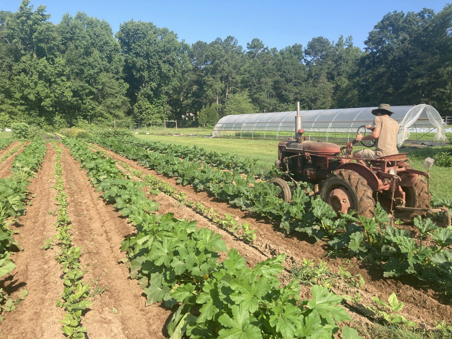 Next Happening: Farm Happenings for July 9, 2021