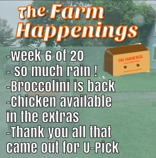Cooper's CSA Farm Summer 2021 Week 1 "The Farm Box" July 13th-17th, 2021