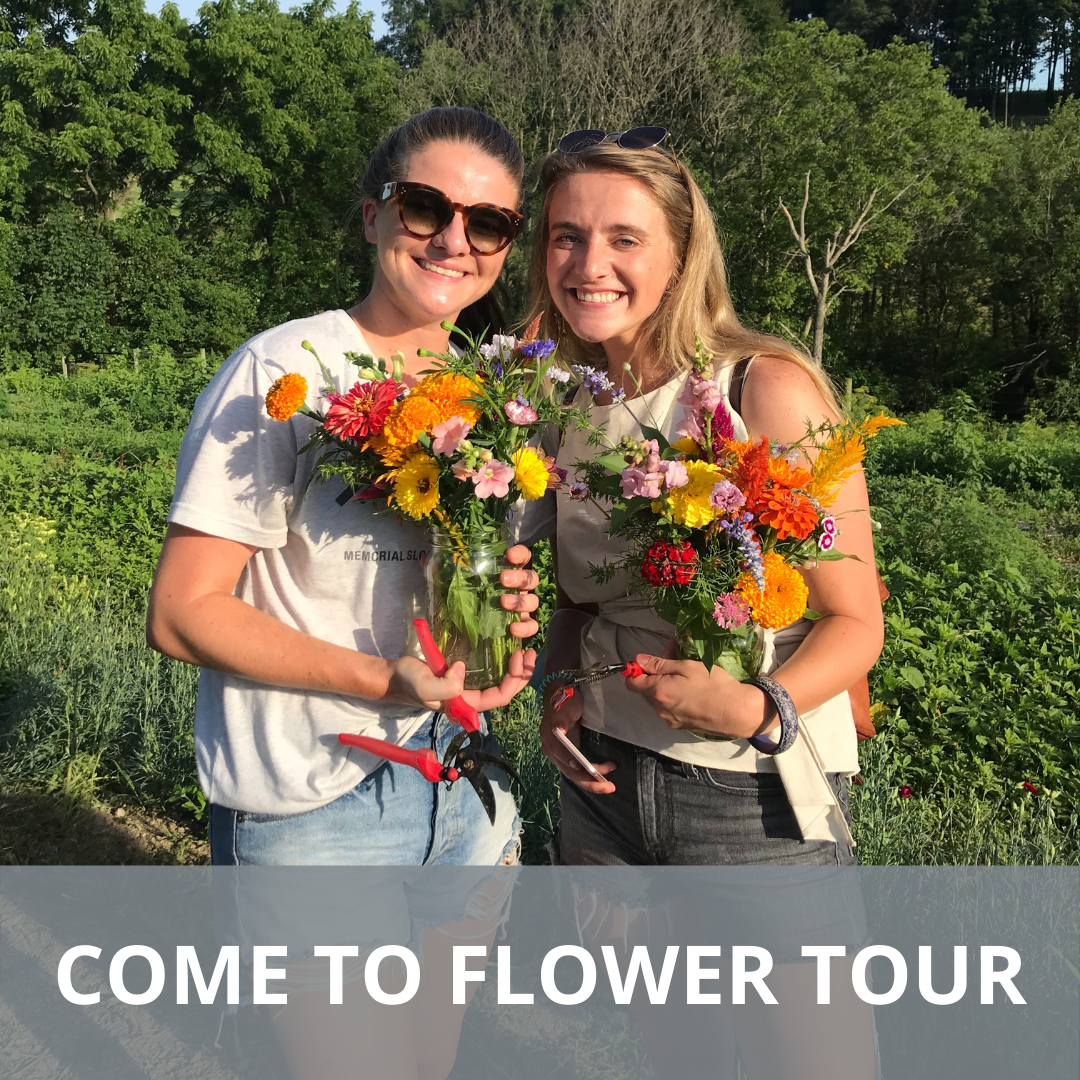 Flower Tour with Farmer Annika this Friday