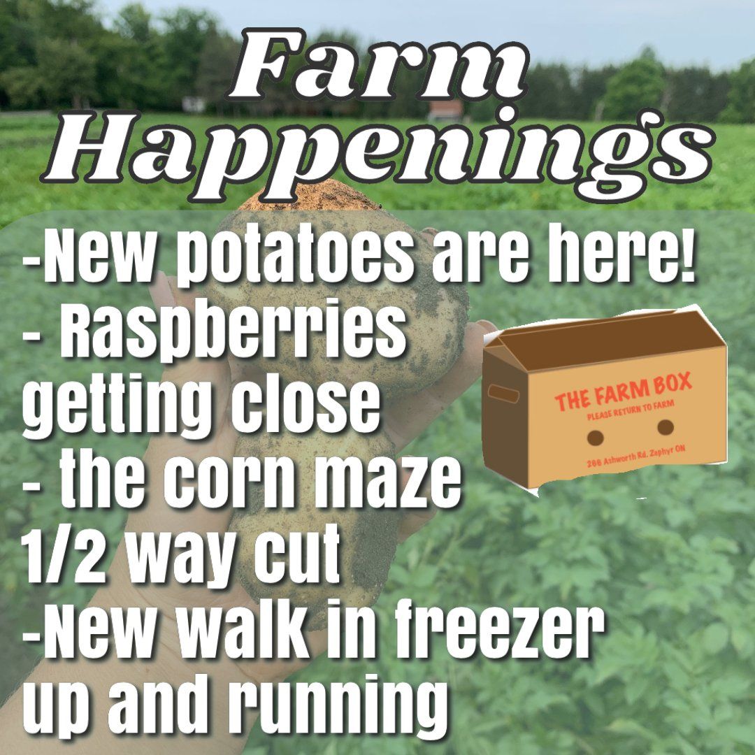 Next Happening: Cooper's CSA Farm Summer 2021 Week 7 "The Farm Box" July 20-25th, 2021