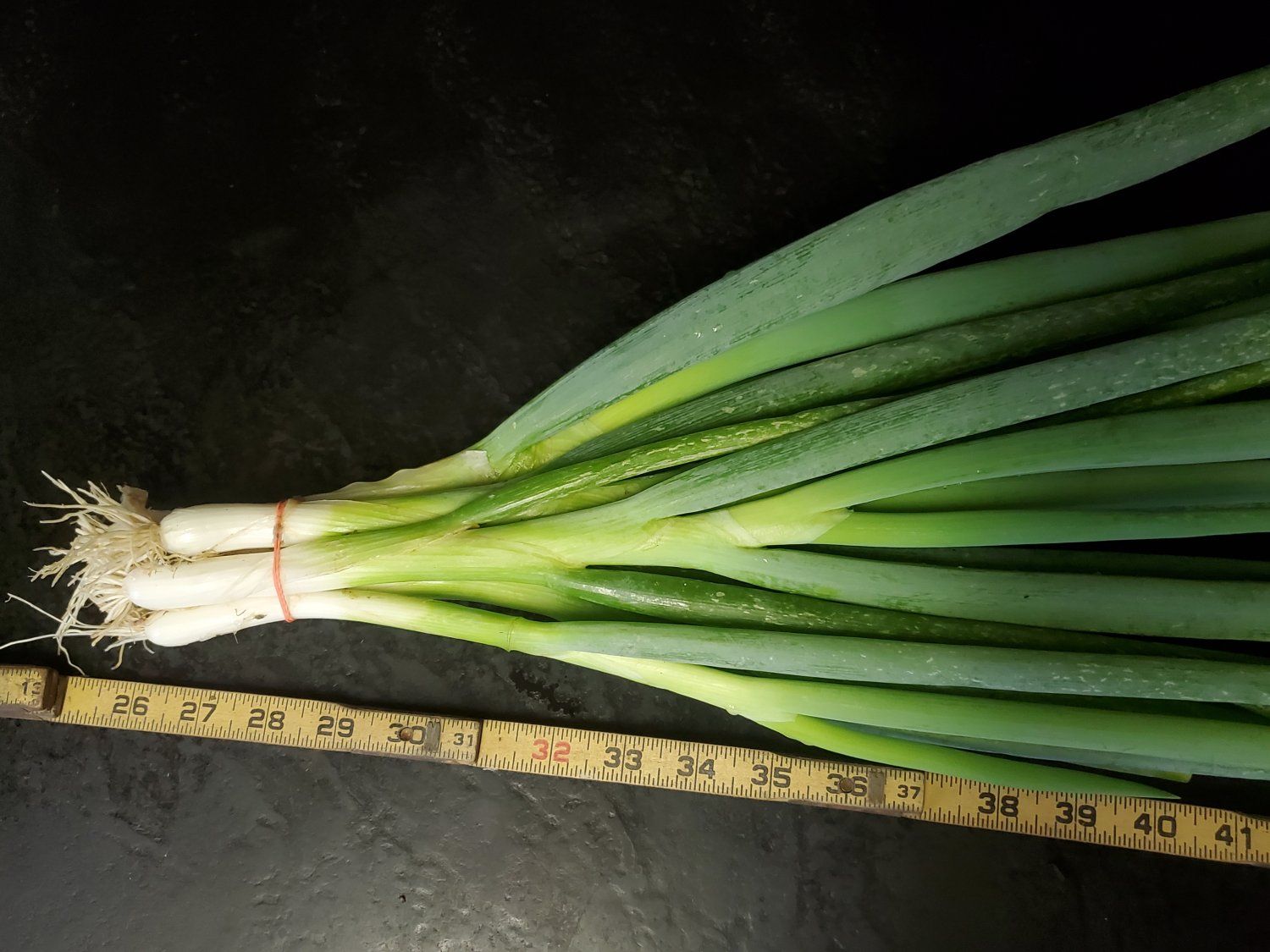 Previous Happening: not your aarage scallion!