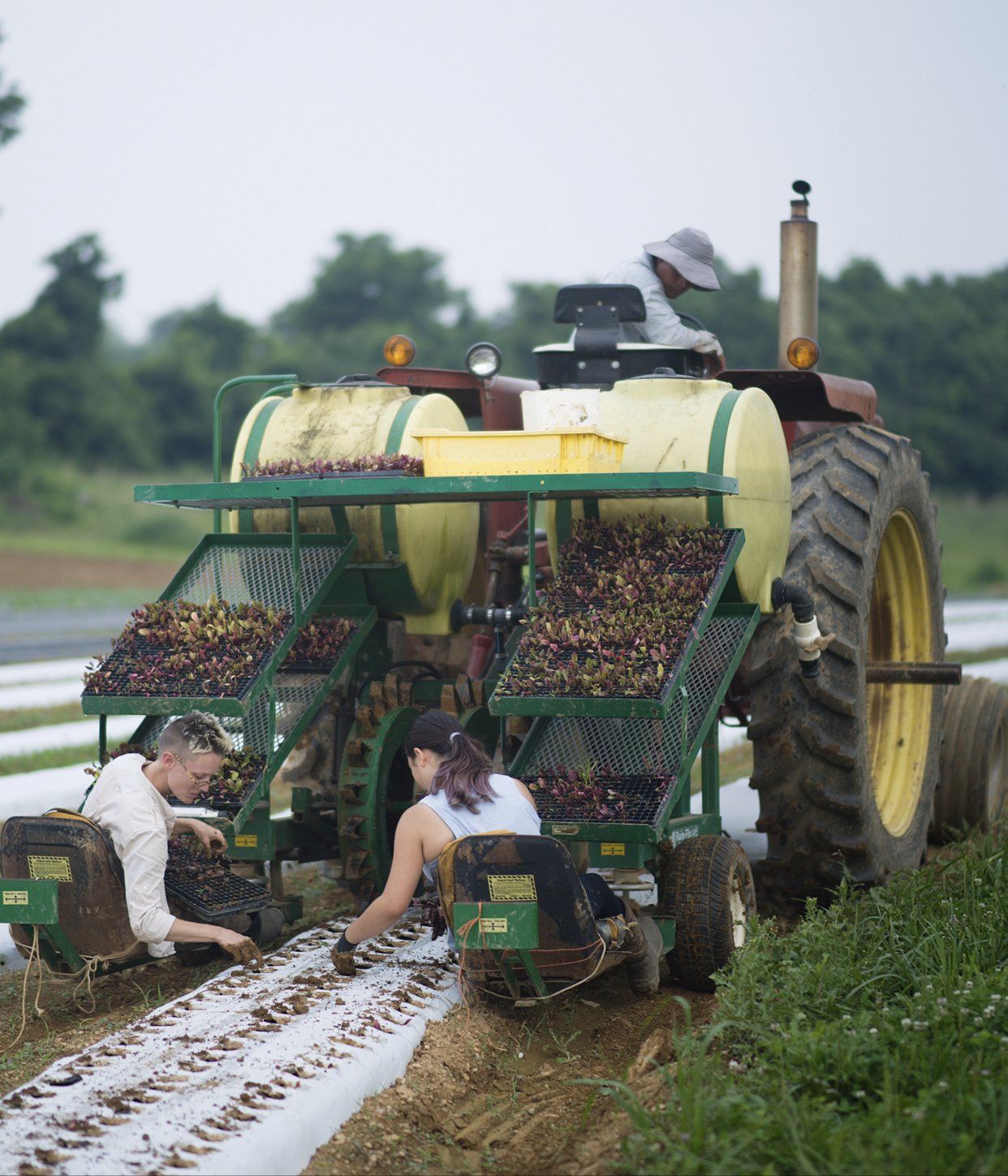Next Happening: Farm Happenings for July 30, 2021