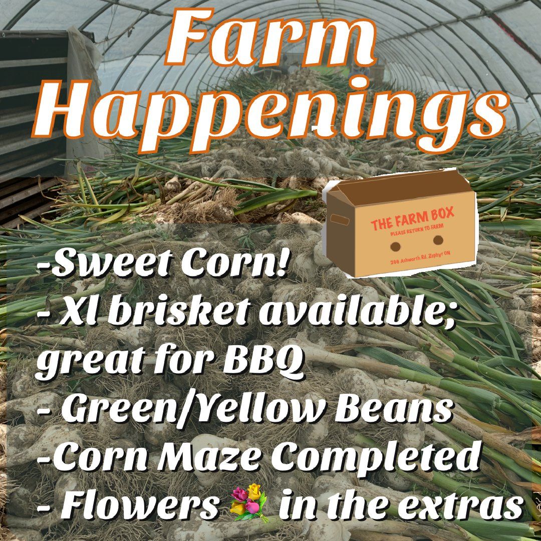 Next Happening: Cooper's CSA Farm Summer 2021 Week 8 "The Farm Box" July 27th-August 1st, 2021