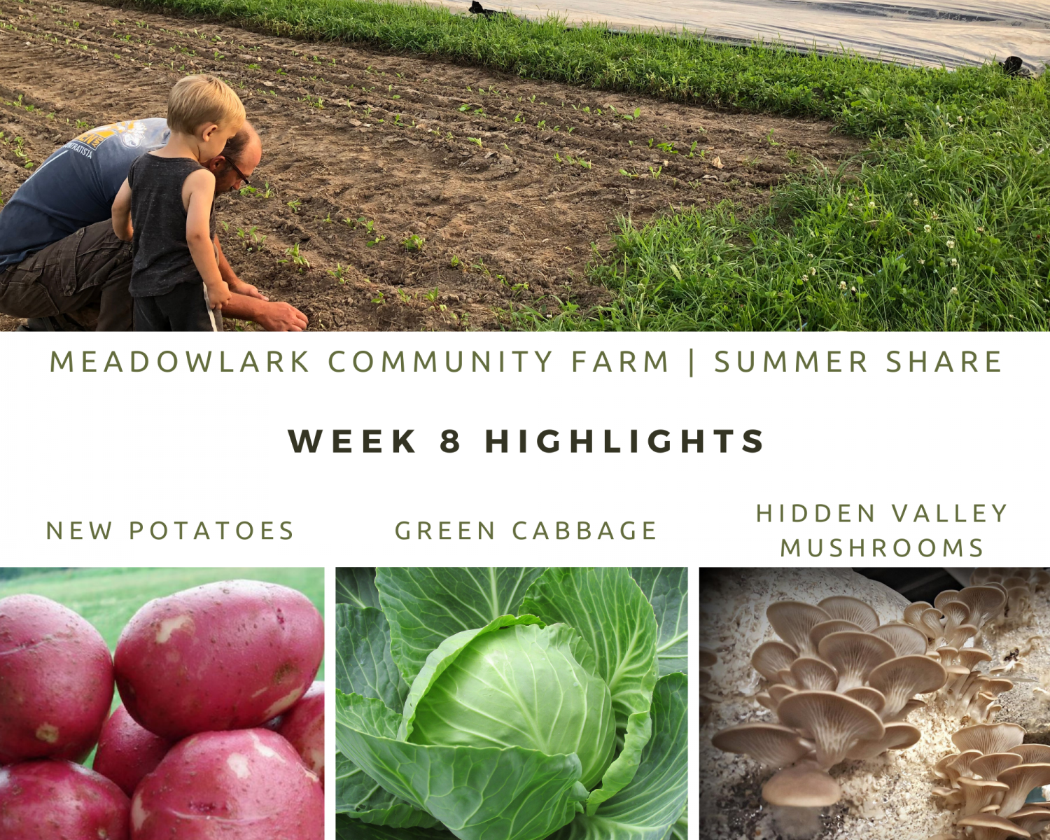 Previous Happening: Summer Share: Week 8