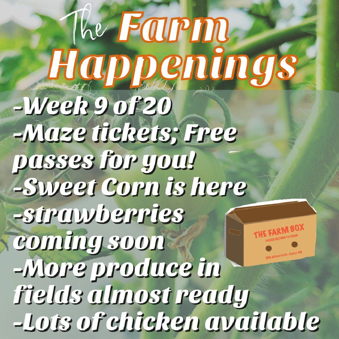 Next Happening: Cooper's CSA Farm Summer 2021 Week 9 "The Farm Box" August 3rd-8th, 2021