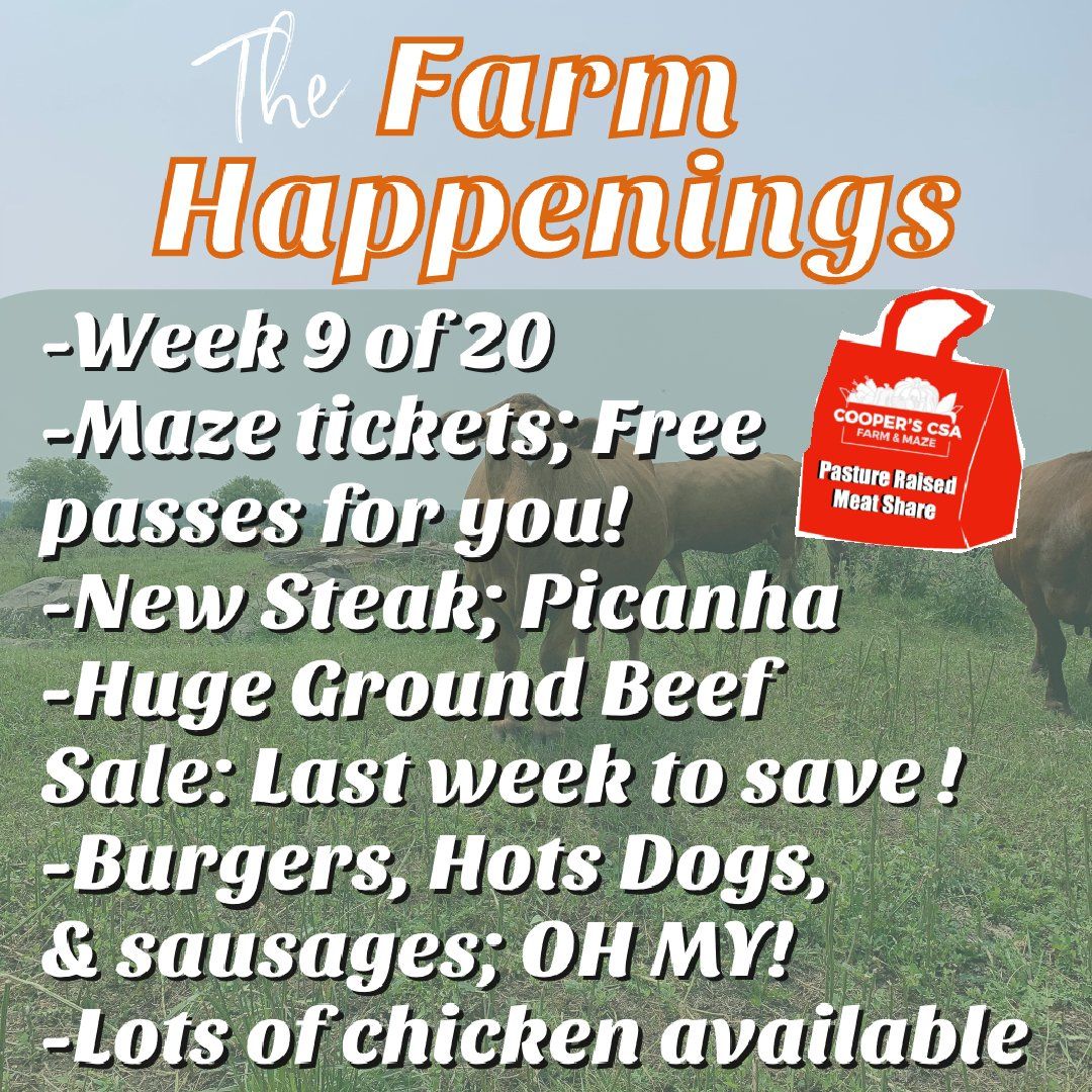 Next Happening: Cooper's CSA Farm Summer Week 9 "Meat Shares" August 3rd-8th, 2021