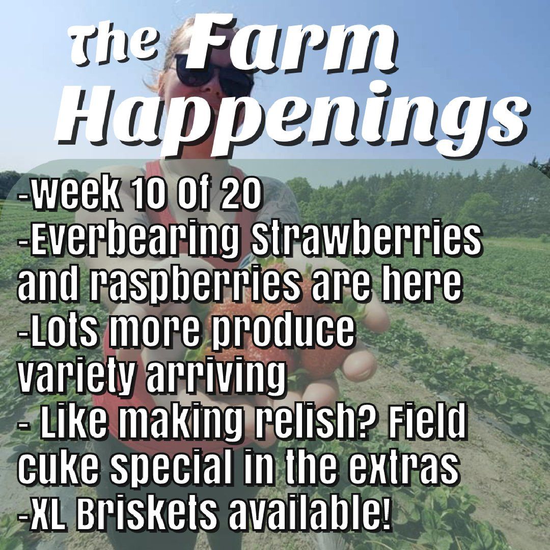 Next Happening: Cooper's CSA Farm Summer 2021 Week 10  "The Farm Box" July Aug 10-15th, 2021