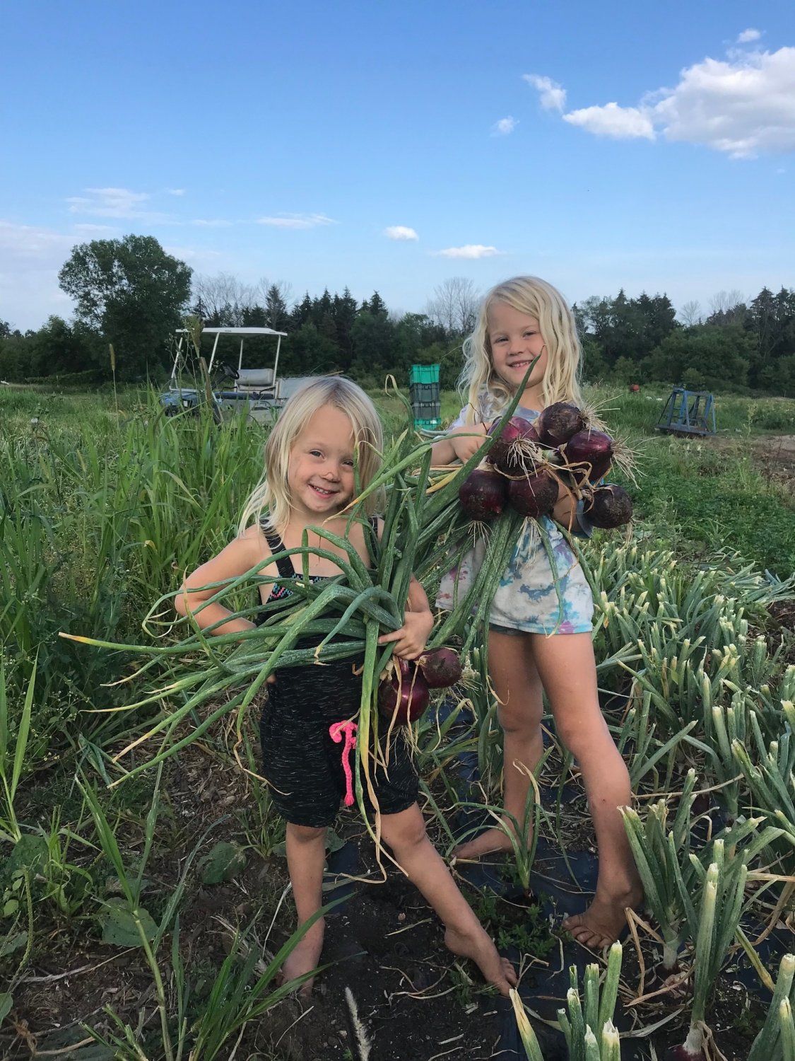 Next Happening: Farm Happenings for August 11, 2021