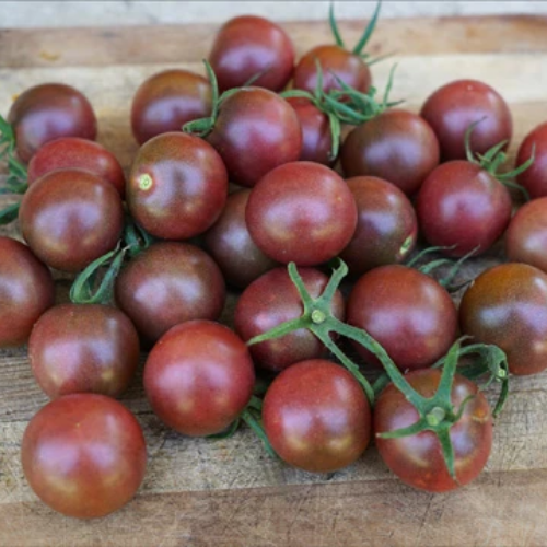 Tomato Share Re-do