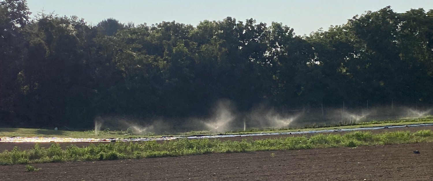 Next Happening: Week 12: Irrigation Season