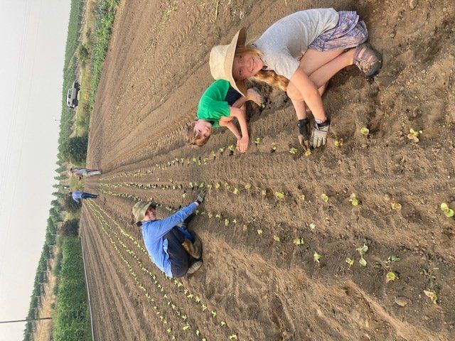 Previous Happening: Farm Happenings for August 17, 2021