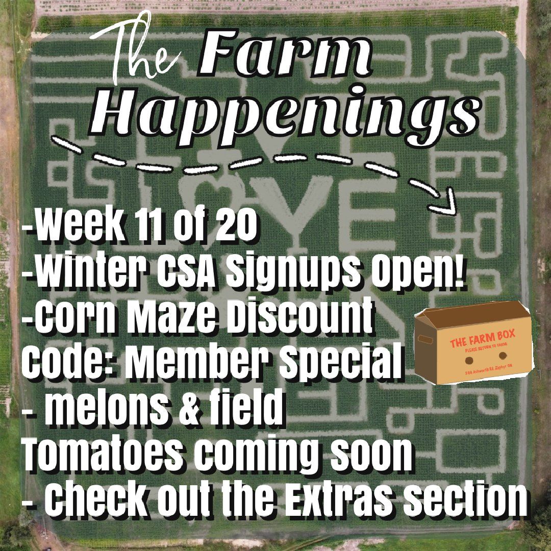 Next Happening: Cooper's CSA Farm Summer 2021 Week 11 "The Farm Box" Aug. 17th-22nd, 2021