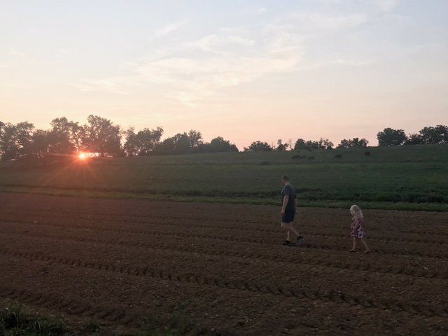 Previous Happening: Farm Happenings for August 20, 2021