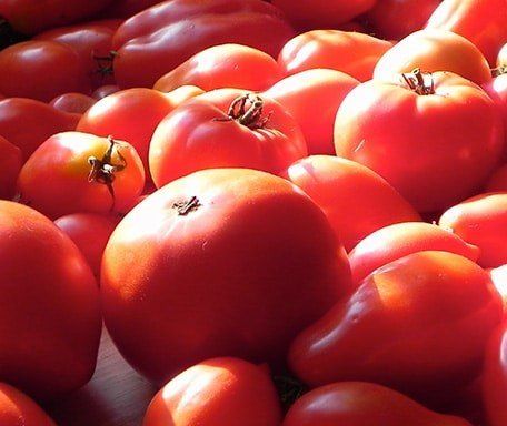 Hurricane Henri Bent and Dent Bulk Tomato Sale THIS SATURDAY ONLY Aug 28 2021 at Suffield farm