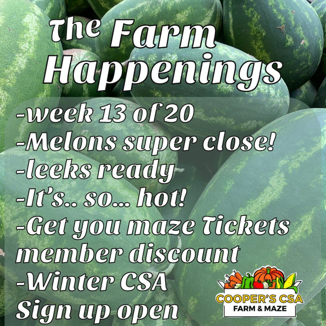 Cooper's CSA Farm Summer 2021 Week 13 "The Farm Box" Aug.31st-Sept.5th, 2021