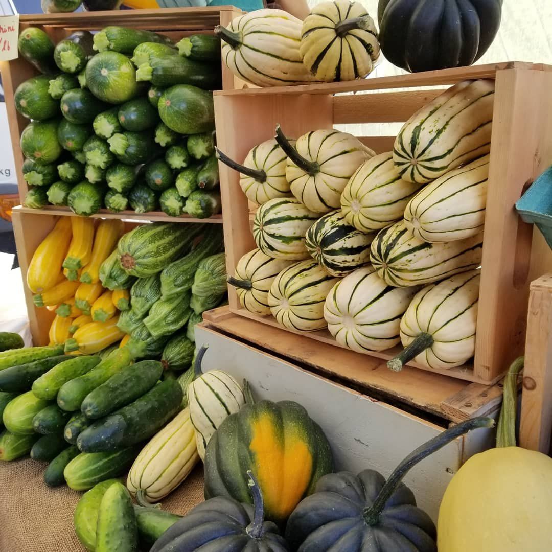 Next Happening: Our 13th Farm Share - SEPT 8TH!